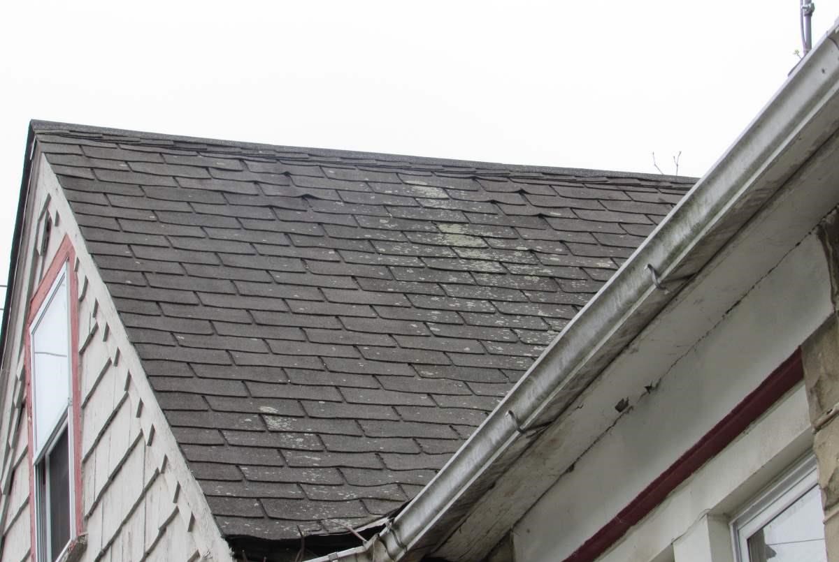 Lifting Shingles with Mold