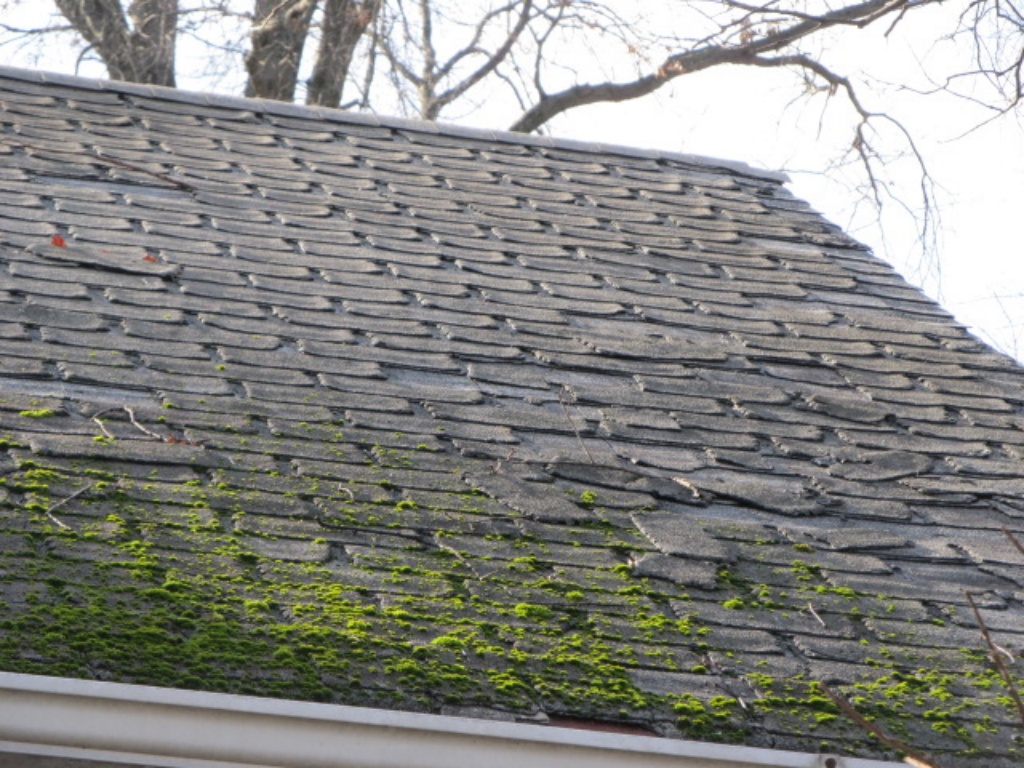 Curling and Moss Covered Roof