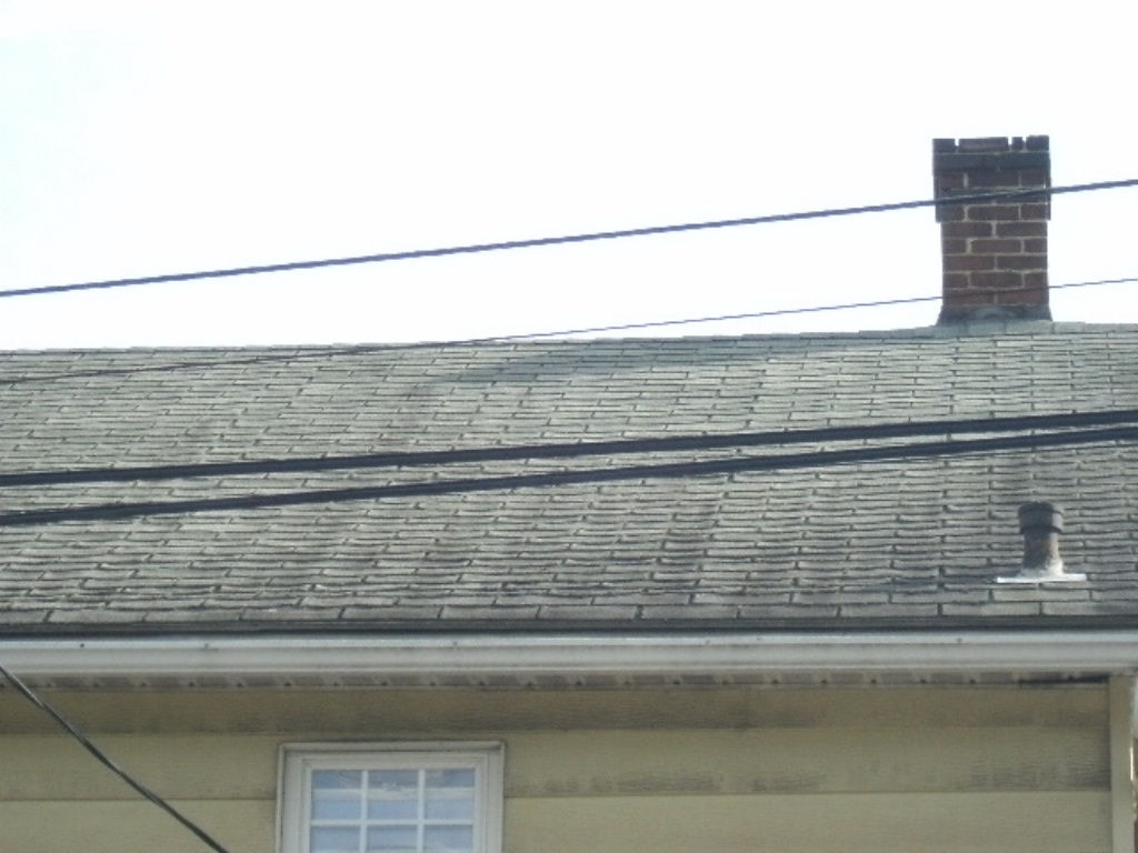 Curling and Cupping Roof